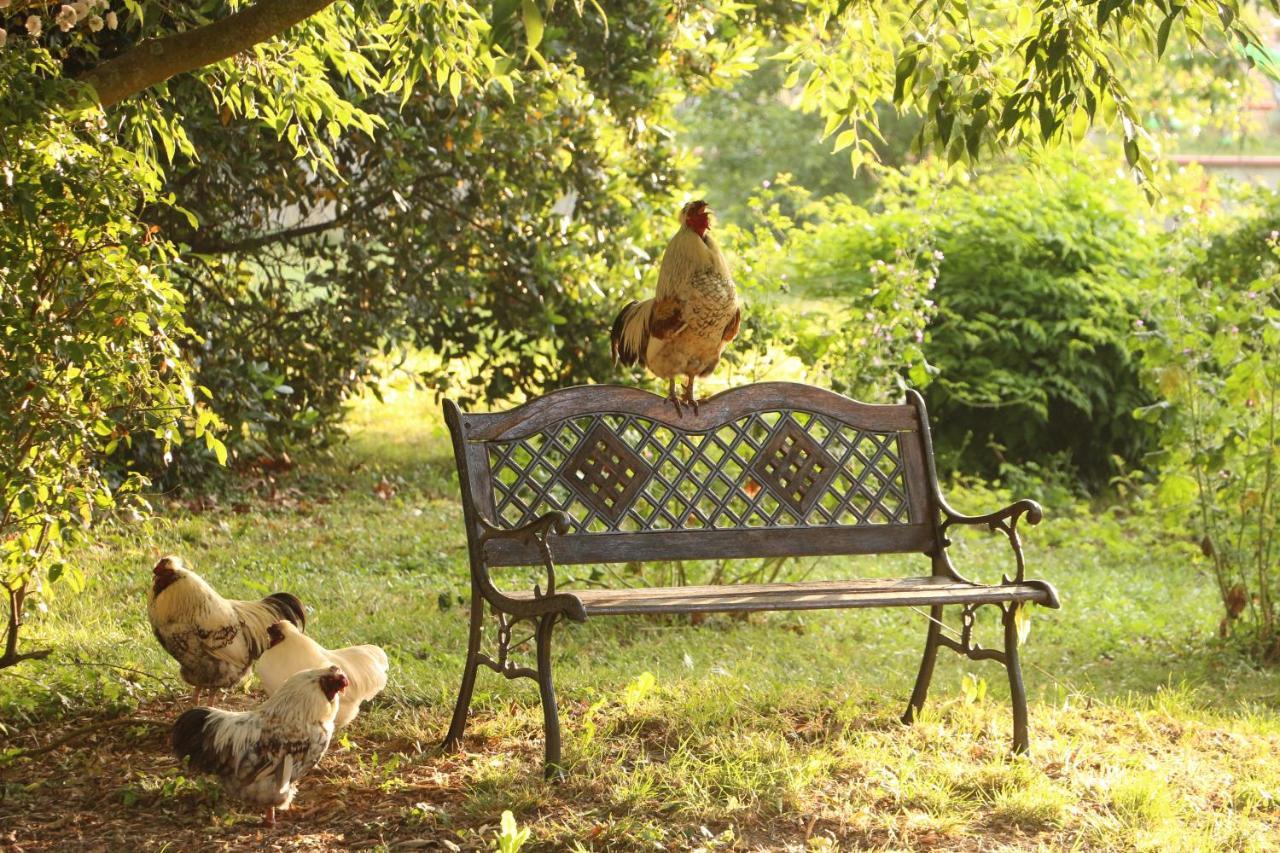 La Closerie De L'Autan Fenouillet  Exteriér fotografie